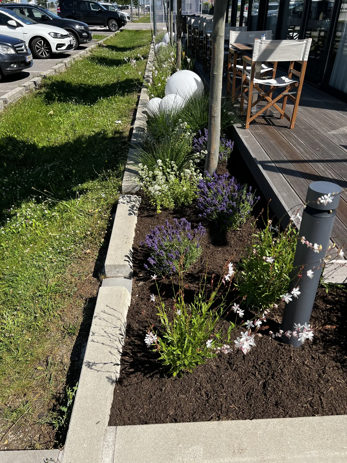 Neu bepflanztes Staudenbeet mit Holzdeck